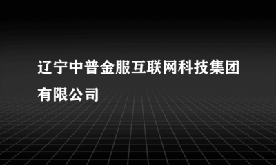 辽宁中普金服 专注金融业务外包，赋能金融机构高效运营